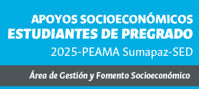 Apoyos socioeconómicos estudiantiles pregrado – Sede Bogotá PEAMA Sumapaz-SED 2025